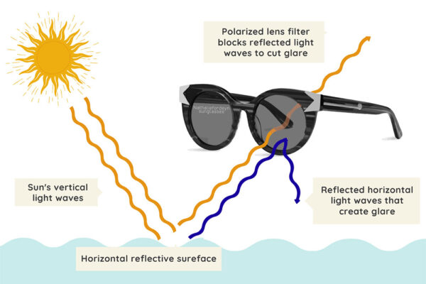 Everything You Need to Know About Polarized Lenses